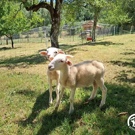 La Roulotte Du Tonnelier Castelnau-de-Montmiral